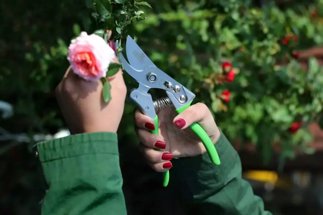 نمونه کار عکاسی سهراب حسینی