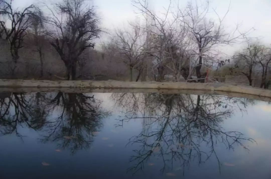 نمونه کار عکاسی مناظر توسط کرمی که در تاریخ 1400-12-04 ** چهارشنبه  **  ساعت 01:56AM بارگذاری شده است.