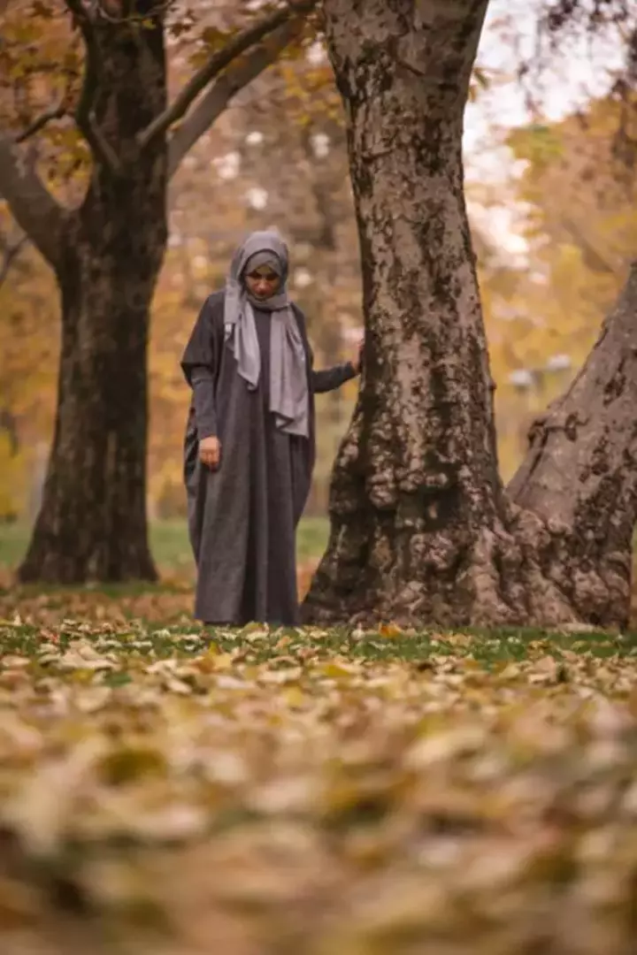 نمونه کار از مرضیه نورعلی