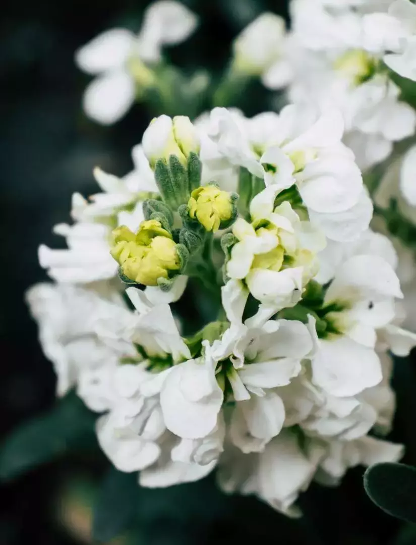 نمونه کار از بهنام نوروزی