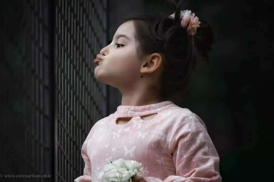 نمونه کار عکاسی حامد انتظار