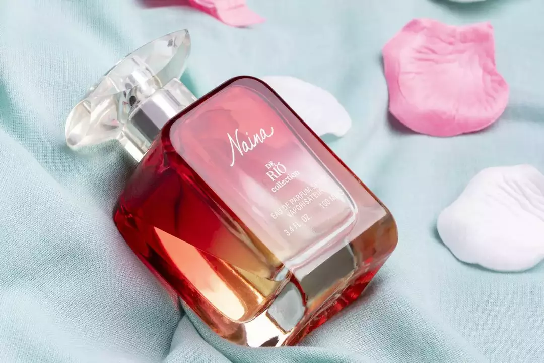 نمونه کار از مهدی درویش زاده