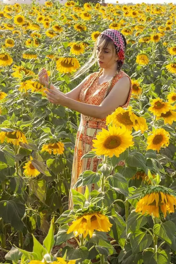 نمونه کار از احسان آریایی فر