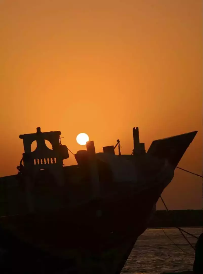 نمونه کار از تارا  مهدی یار