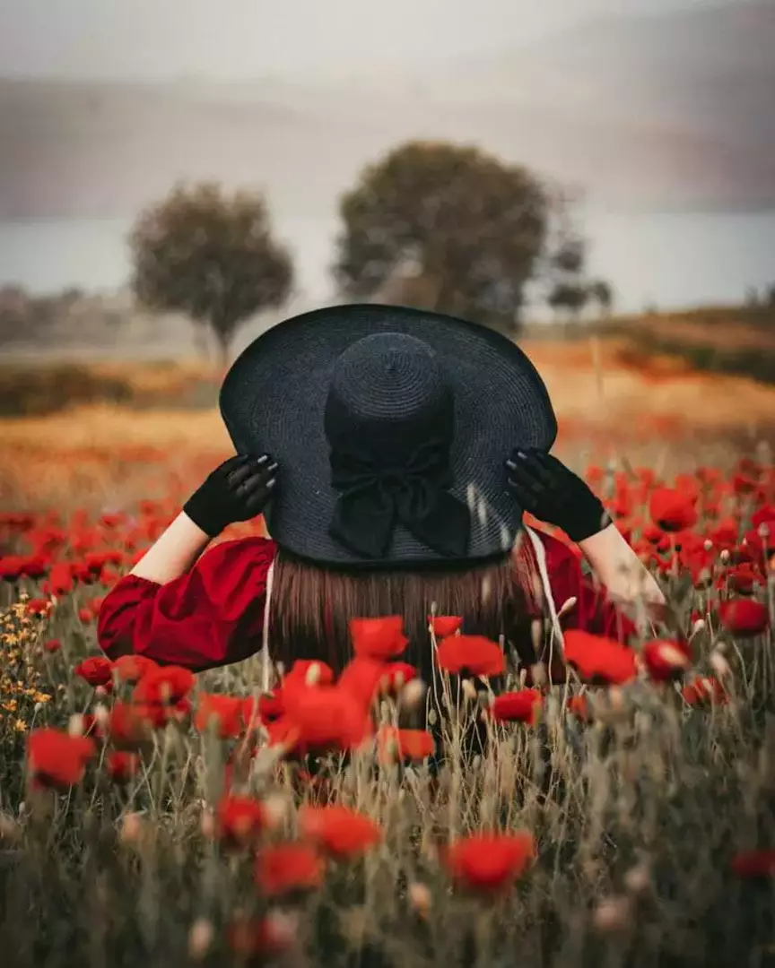 نمونه کار از رومینا احمدیان