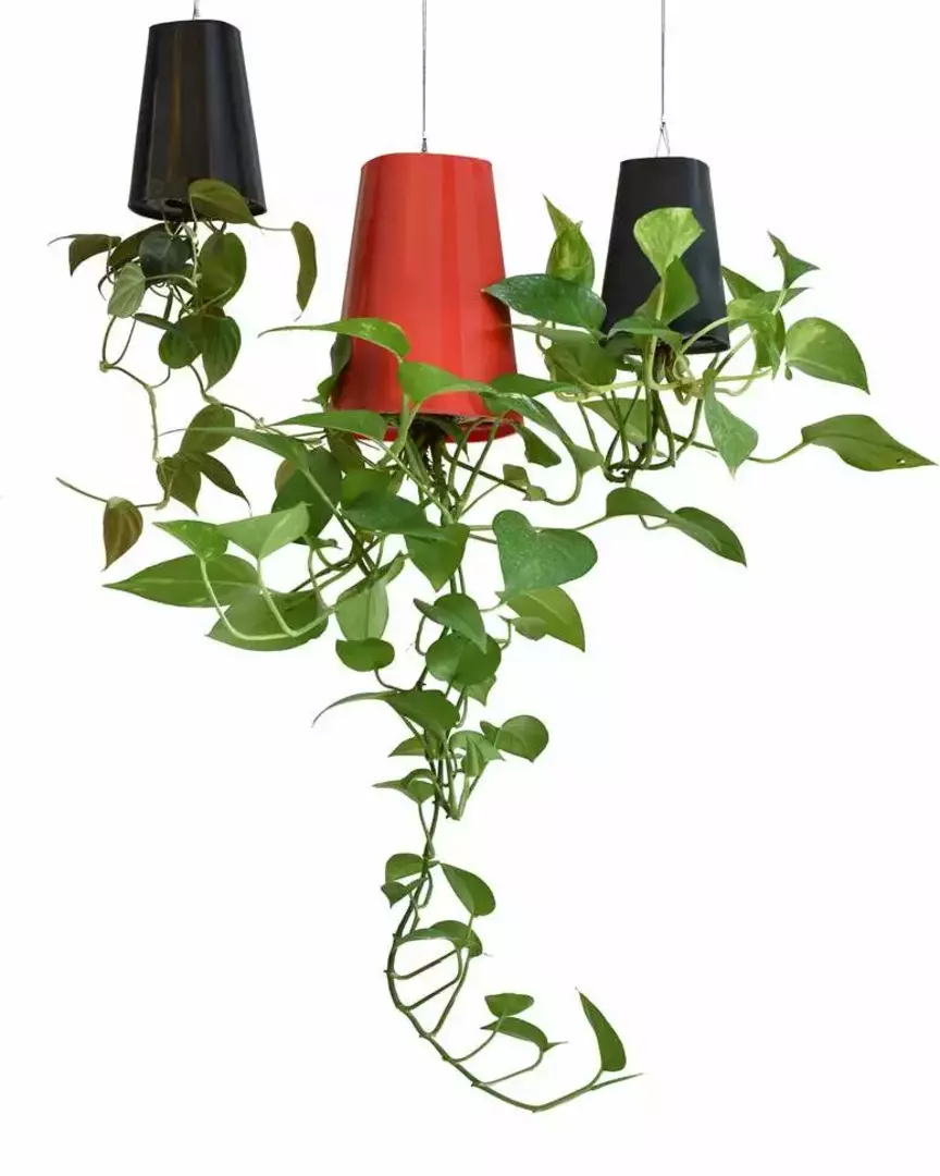 نمونه کار عکاسی فرزین یاراحمدی