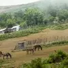 نمونه کار عکاسی مناظر توسط نادری آرا، ثبت شده در 2022-06-10