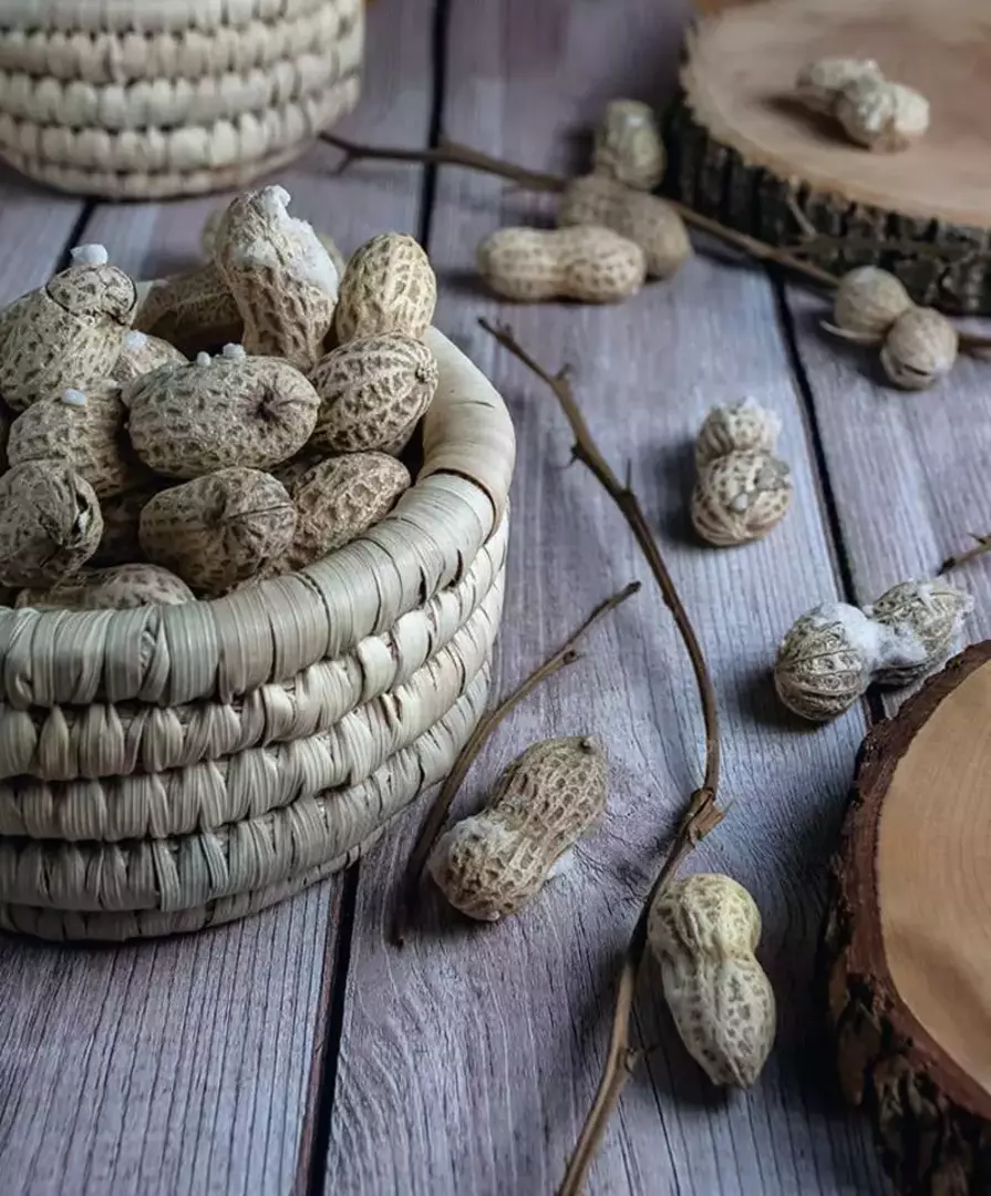 نمونه کار عکاسی افسانه  زرنگار