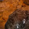 نمونه کار الناز نادری آرا