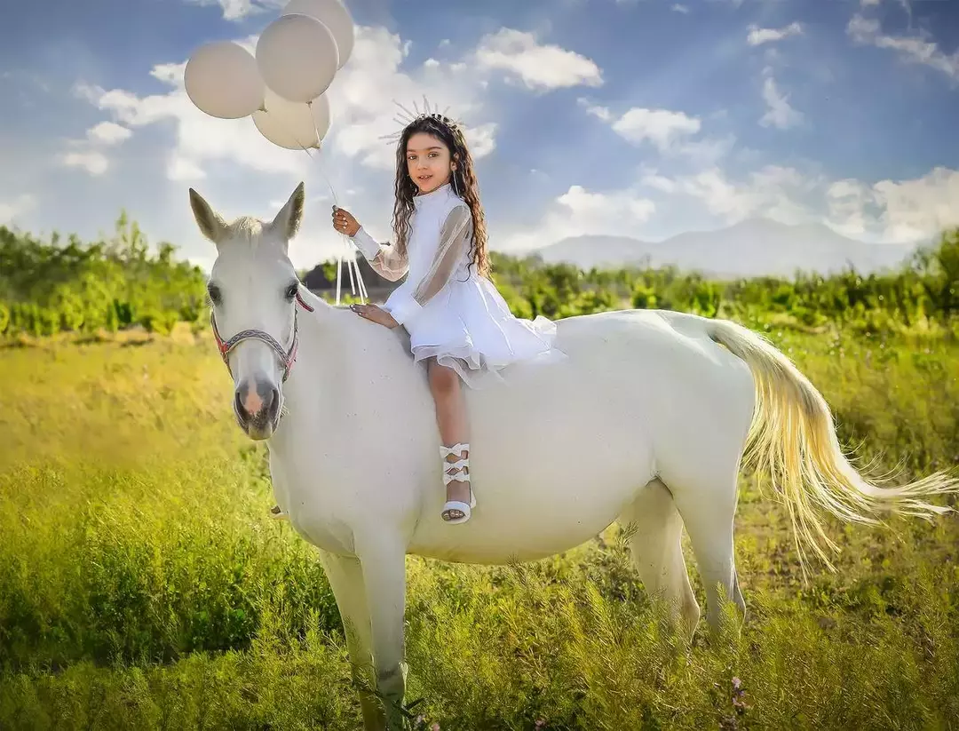 نمونه کار از سید صادق جوادی