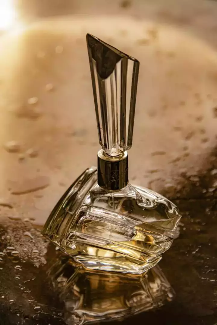 نمونه کار از سحر محمدی