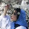 نمونه کار عکاسی چهره - پروفایل توسط امیرسلیمانی، ثبت شده در 2022-07-13
