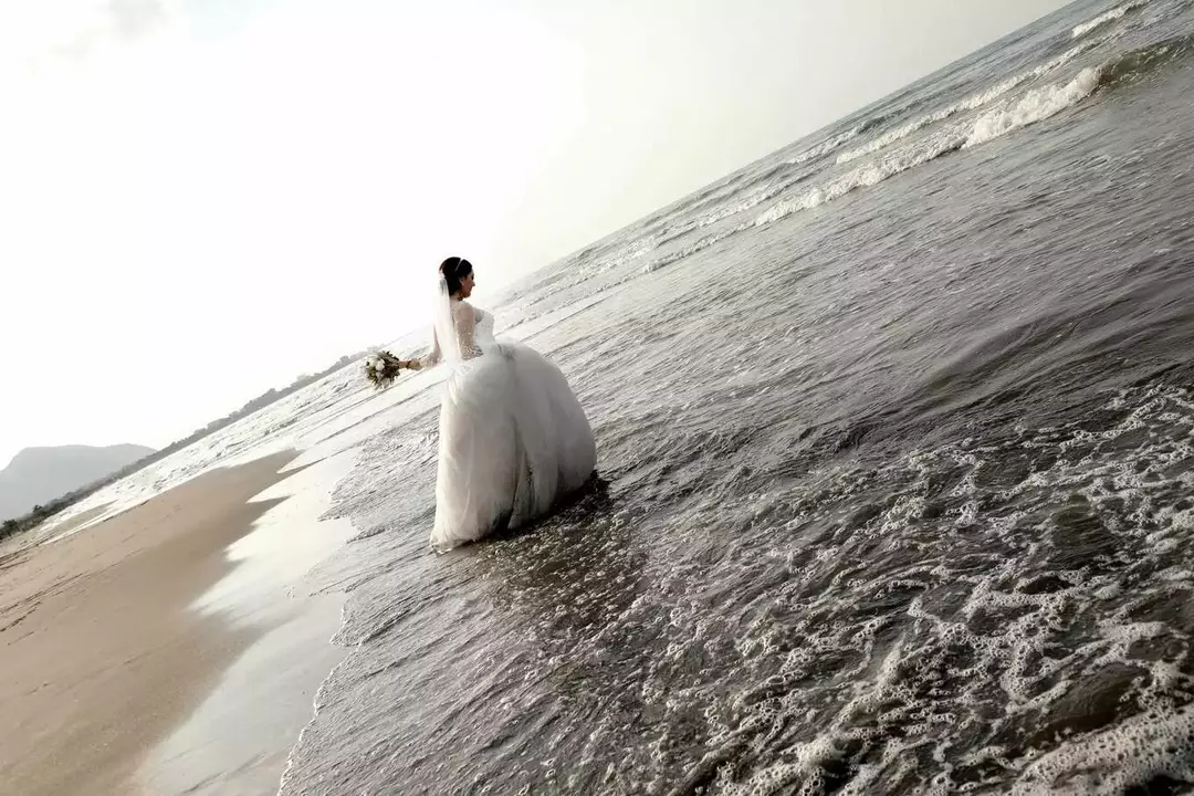 نمونه کار از لیلی محبی