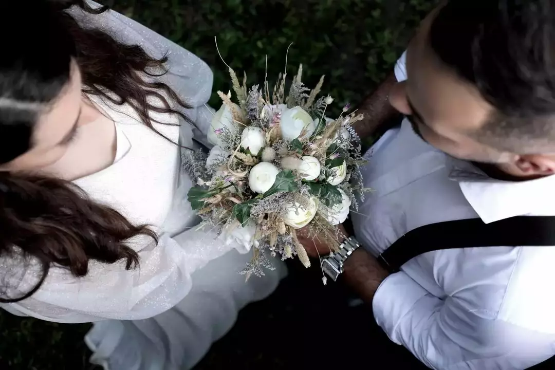 نمونه کار از لیلی محبی