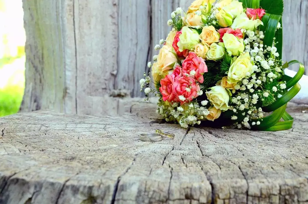 نمونه کار از لیلی محبی