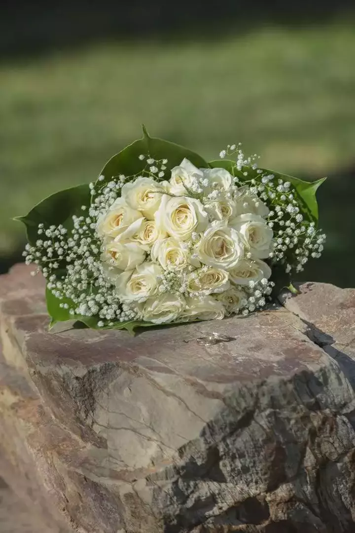 نمونه کار عکاسی پروانه خدامی