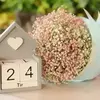 نمونه کار عکاسی تولد - مهمانی - دورهمی توسط غیبی، ثبت شده در 2022-07-25