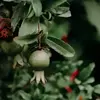 نمونه کار عکاسی مناظر توسط نانی، ثبت شده در 2022-08-10
