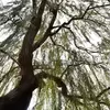نمونه کار عکاسی مناظر توسط خامسی پور، ثبت شده در 2022-08-10