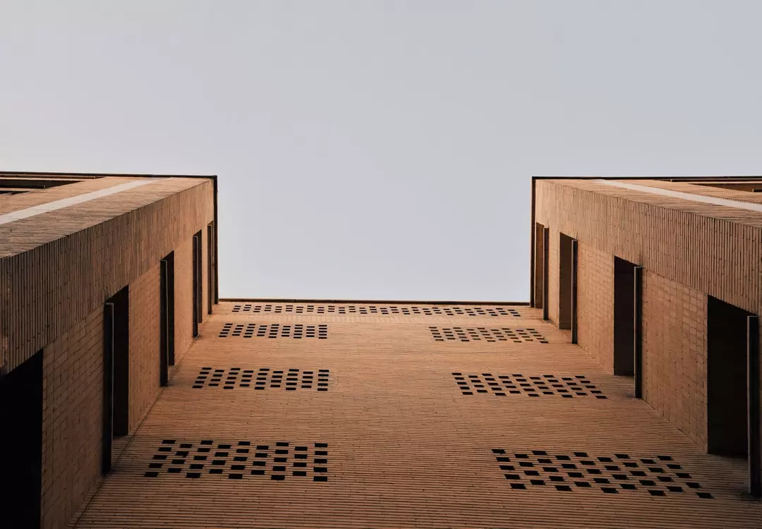 نمونه کار از نیوشا  دهقان 