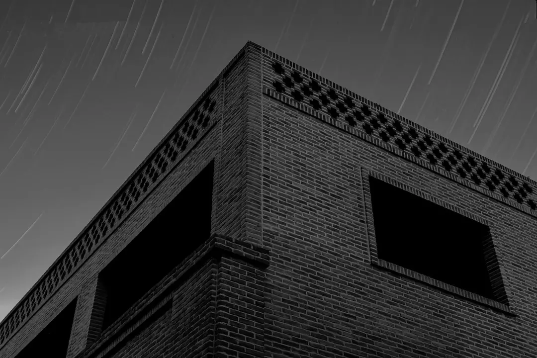 نمونه کار از نیوشا  دهقان 