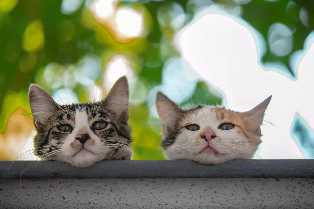 نمونه کار عکاسی ریحانه عسگری