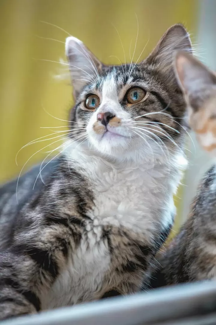 نمونه کار عکاسی غیره توسط عسگری که در تاریخ 1401-06-03 ** پنج‌شنبه  **  ساعت 03:49PM بارگذاری شده است.