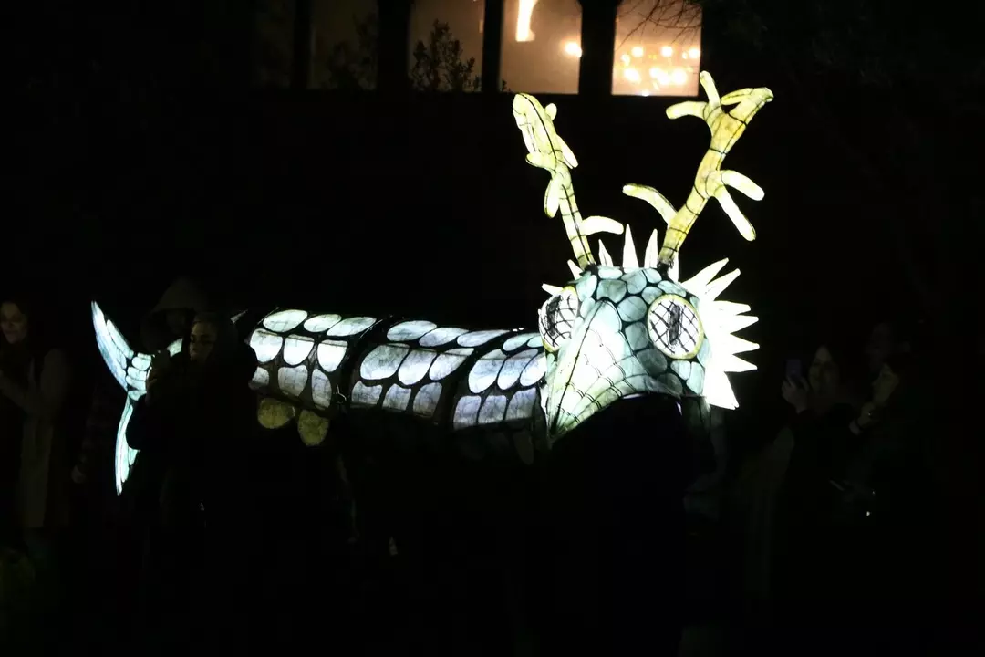 نمونه کار از حانیه حدادی