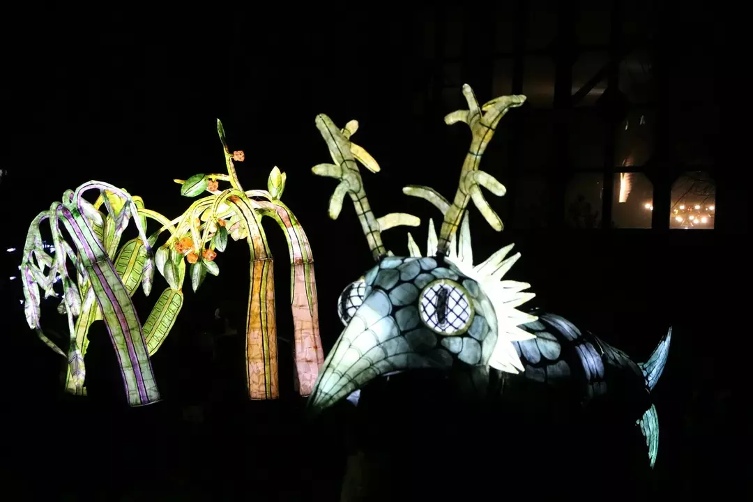 نمونه کار از حانیه حدادی