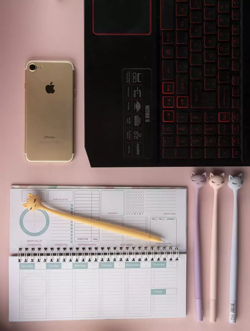 نمونه کار از مائده رهبر