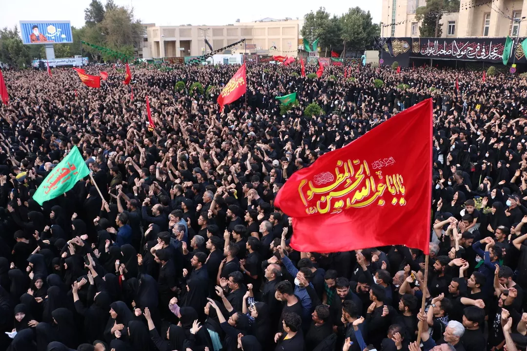 نمونه کار از حمیدرضا پورکاظمی