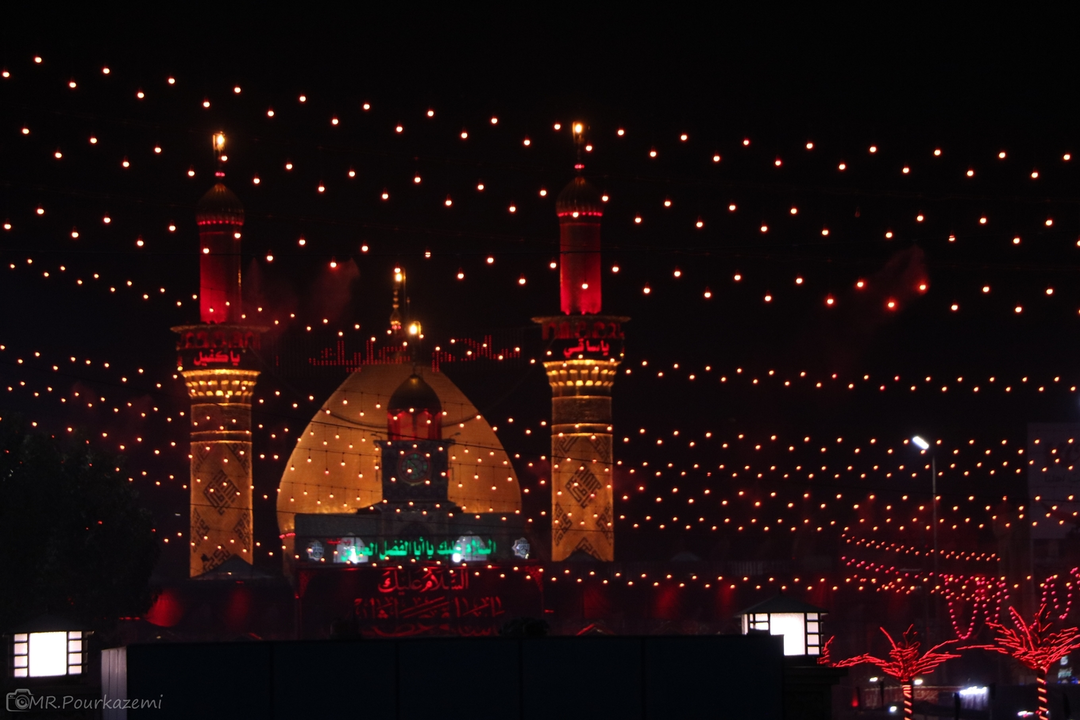 نمونه کار از حمیدرضا پورکاظمی