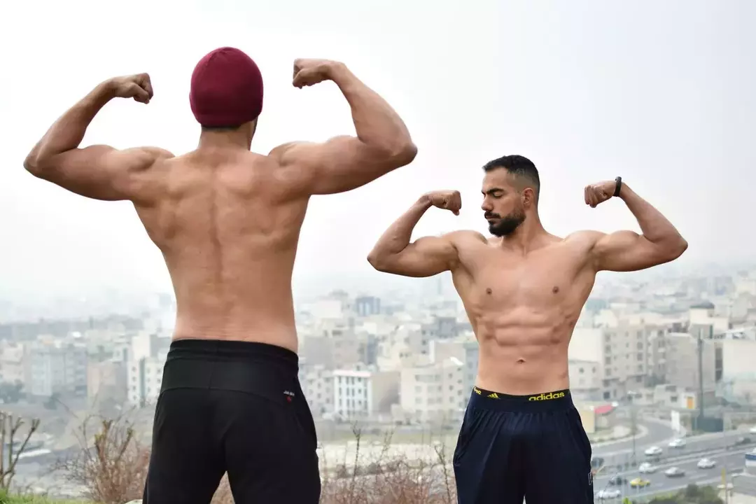 نمونه کار از داریوش عزیزی