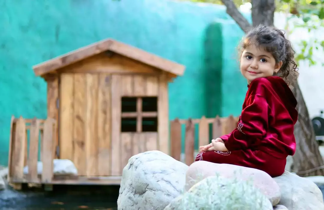 نمونه کار از لیلی محبی