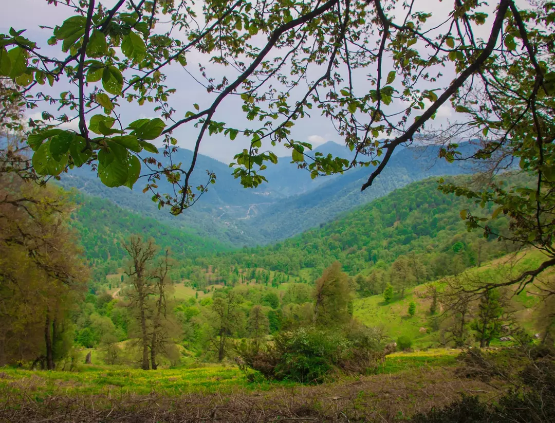 عکاسی مناظر از سید صادق جوادی