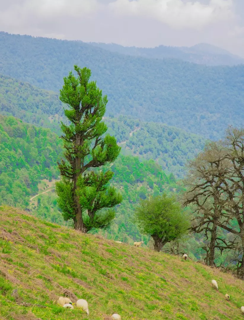 عکاسی مناظر از سید صادق جوادی