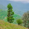 نمونه کار عکاسی مناظر توسط جوادی، ثبت شده در 2022-10-11