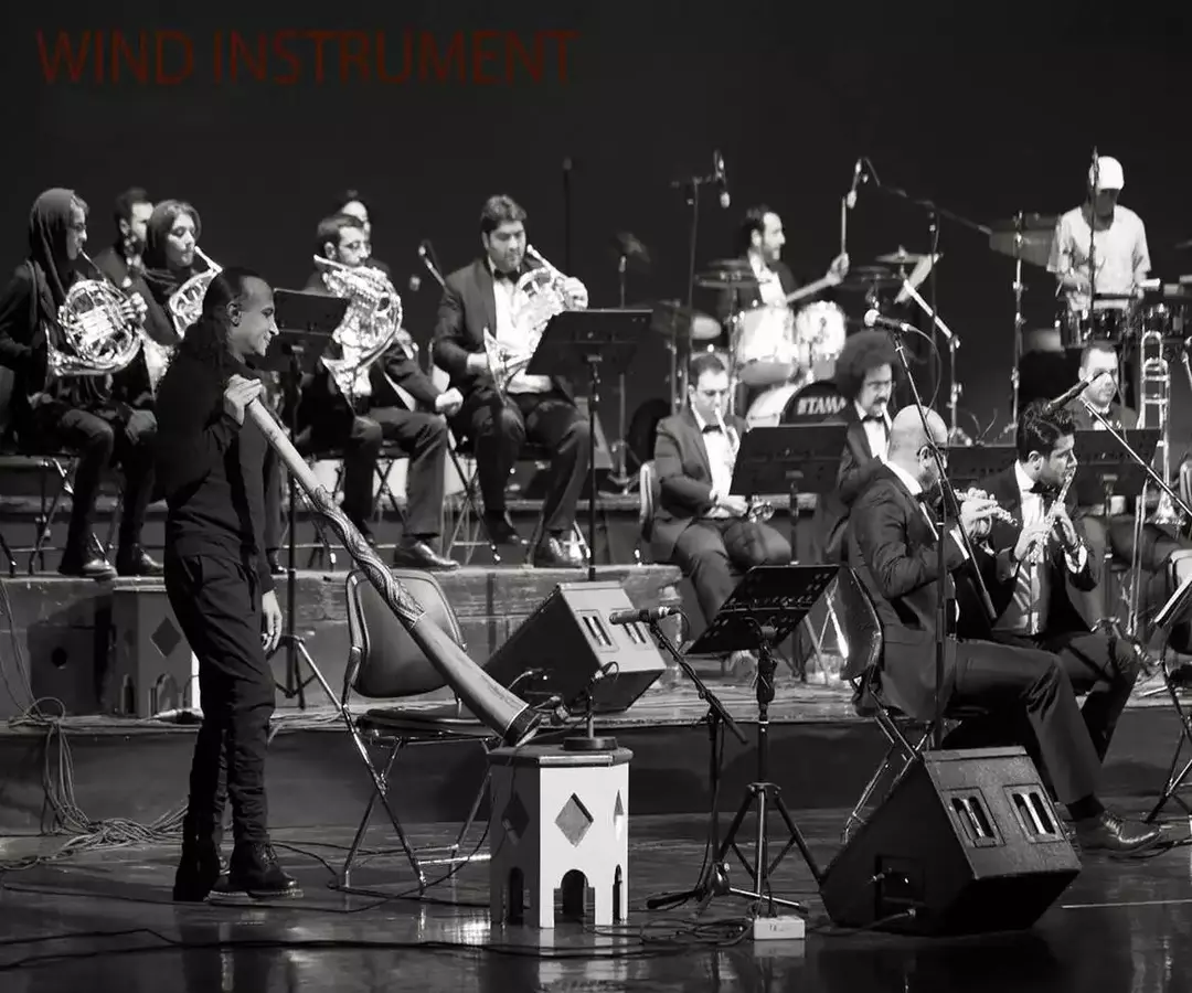 نمونه کار از مونا جواهری