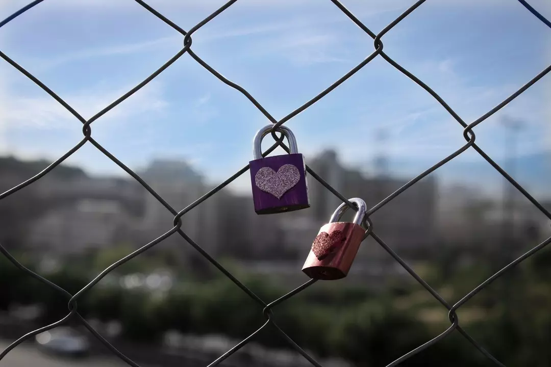 نمونه کار عکاسی فرگل شفاعت