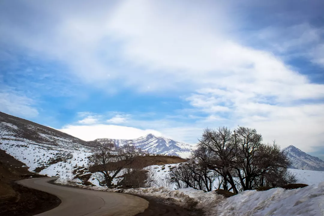 نمونه کار عکاسی فرگل شفاعت
