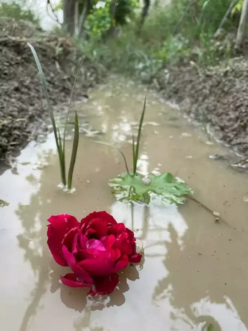 نمونه کار عکاسی پریدخت غیبی