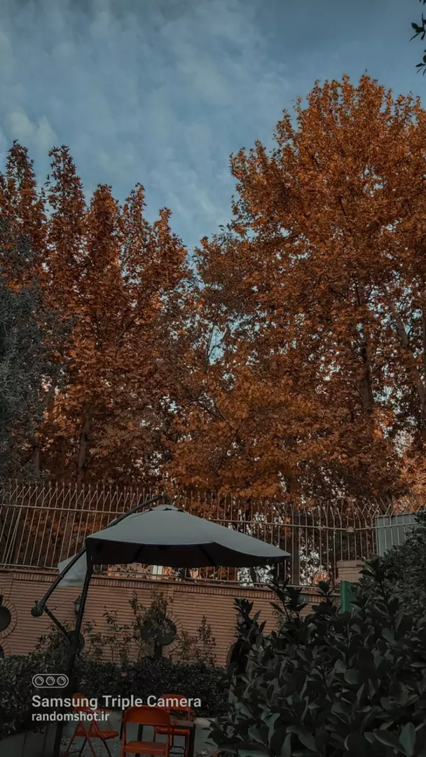 نمونه کار عکاسی لیلا فرخ پی