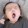 نمونه کار ندا فرشیدفر