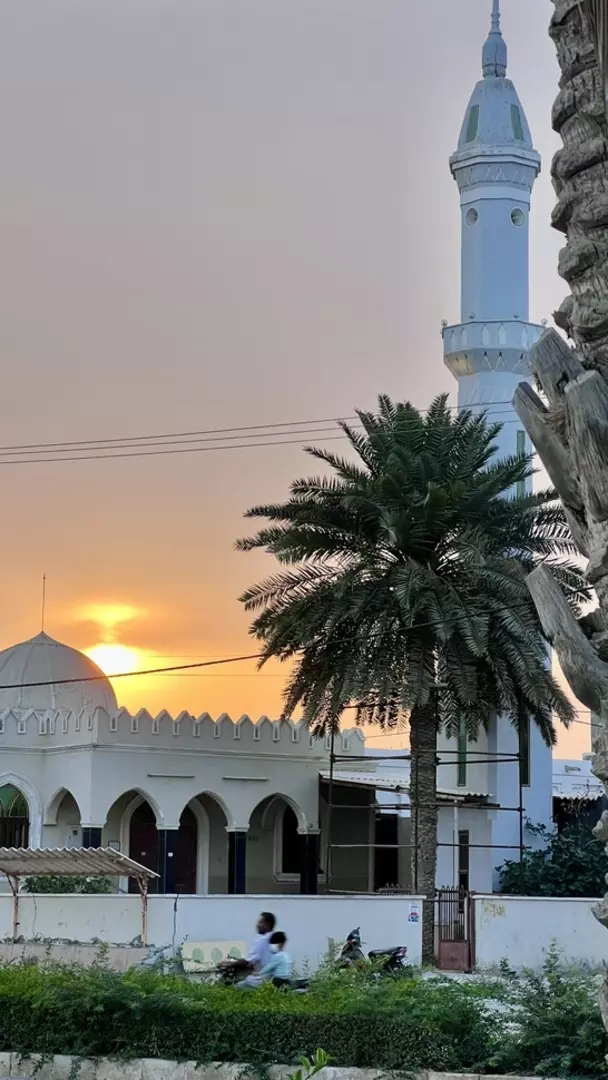 نمونه کار عکاسی سینا  ضرغامی