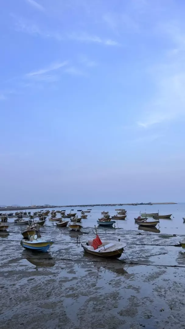 نمونه کار عکاسی سینا  ضرغامی