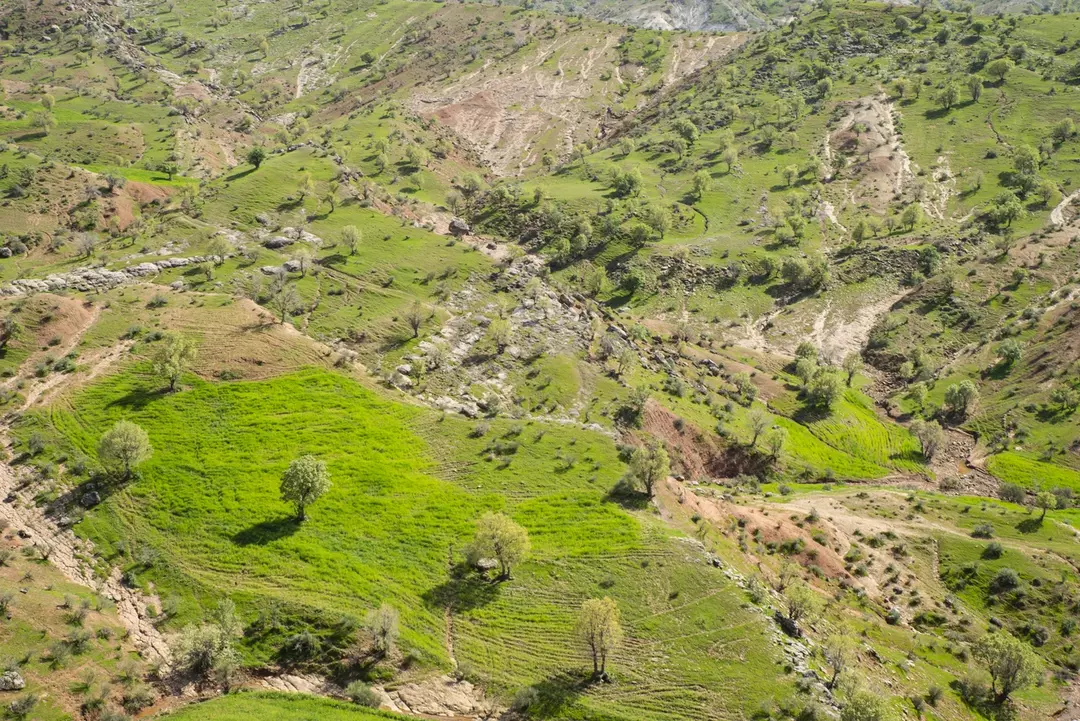 نمونه کار عکاسی اشکان غفاری