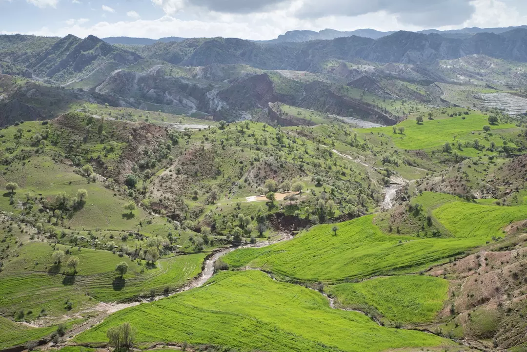نمونه کار عکاسی اشکان غفاری