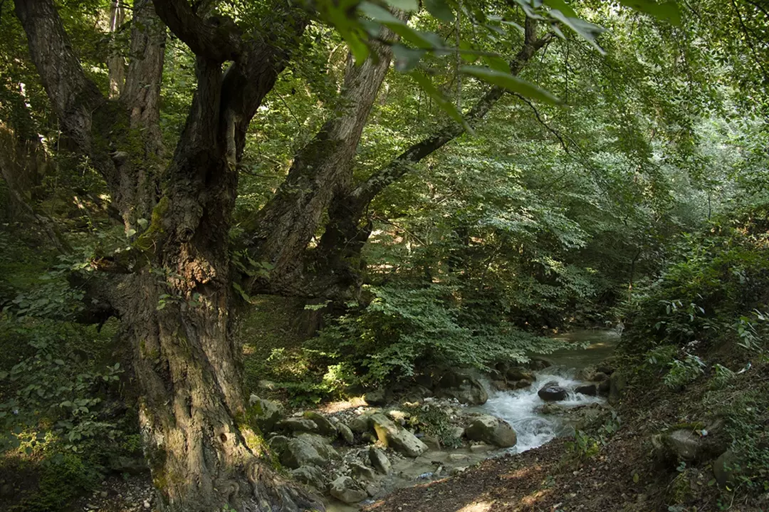 عکاسی مناظر از امید صنوبری