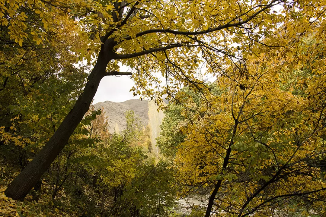 عکاسی مناظر از امید صنوبری