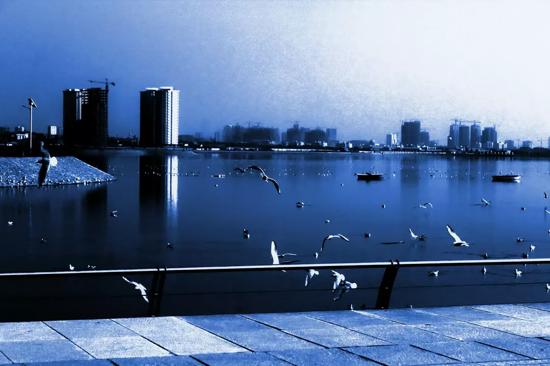 عکاسی مناظر از امید صنوبری